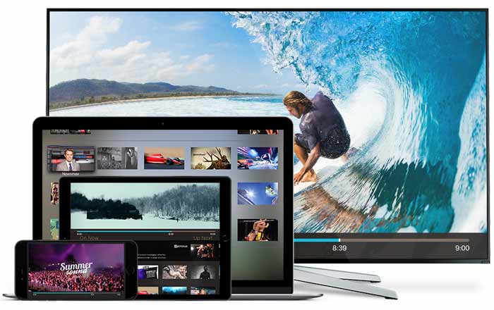 bittorrent live
