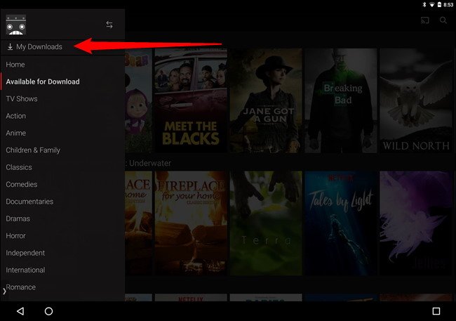 Comment télécharger des films et des séries de Netflix pour les