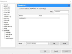 bittorrent vpn