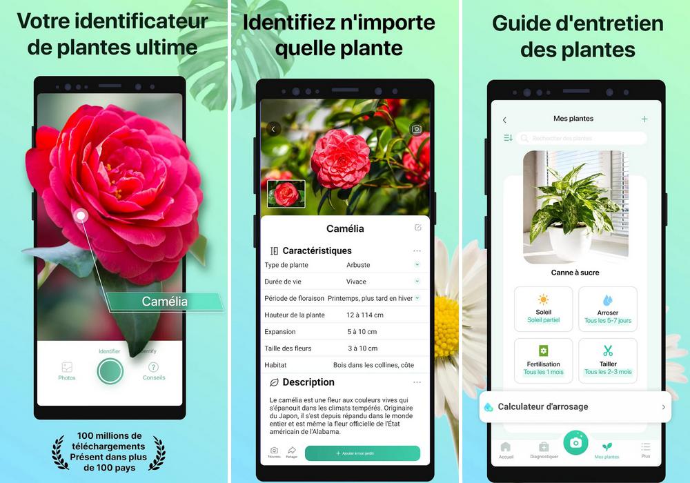 PictureThis Plante Identifier