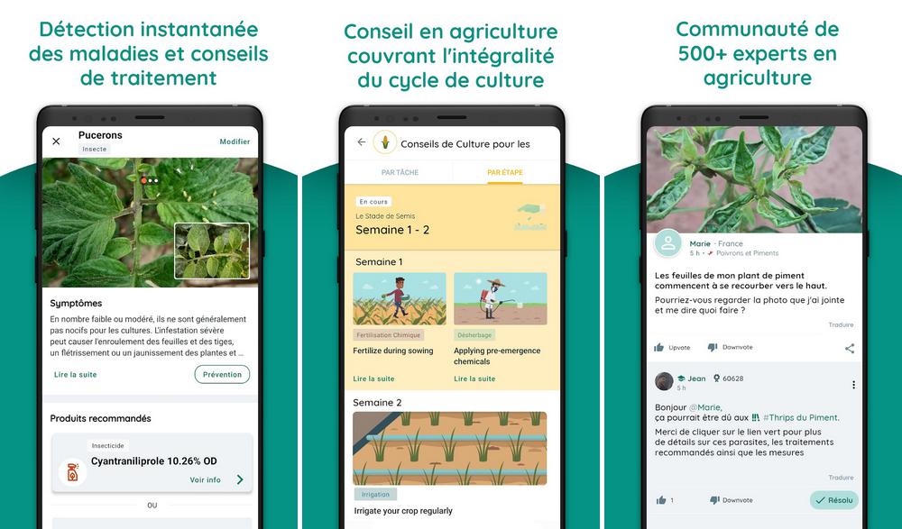 Plantix - Le meilleure application de jardinage