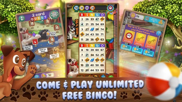 Bingo Pets Party