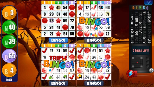 Bingo par Absolute Games