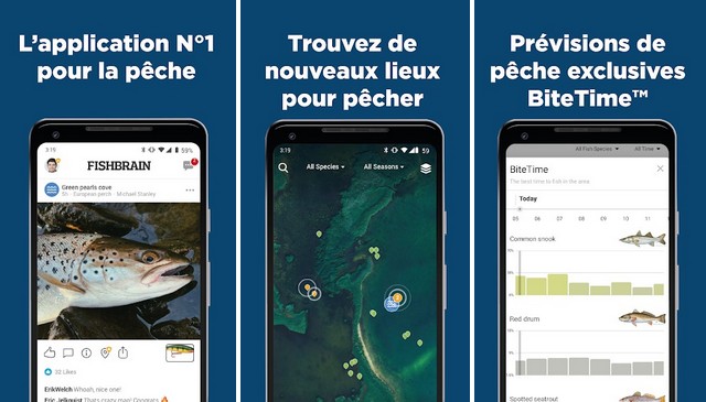 Fishbrain - application de camping