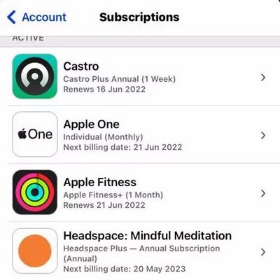 Cancel a subscription on iPhone and iPad