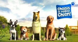 Les meilleurs jeux de chiens pour Android - Dog Simulator