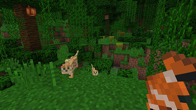 Minecraft - Jeu Nintendo Switch