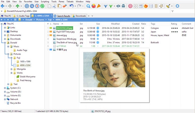 xyplorer windows explorer alternative 2020 xyplorer windows explorer alternative 2020