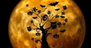 Les meilleures applications Halloween sur Android