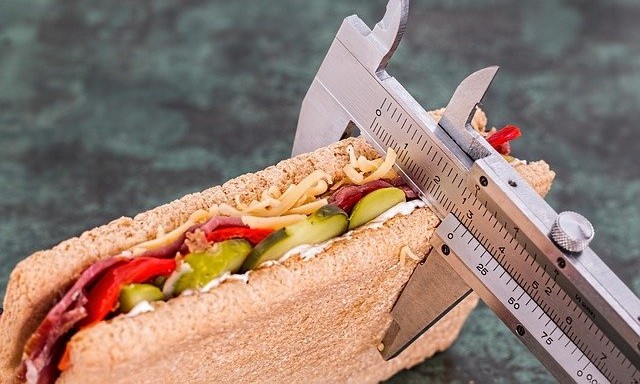 Les meilleures applications de nutrition pour Android