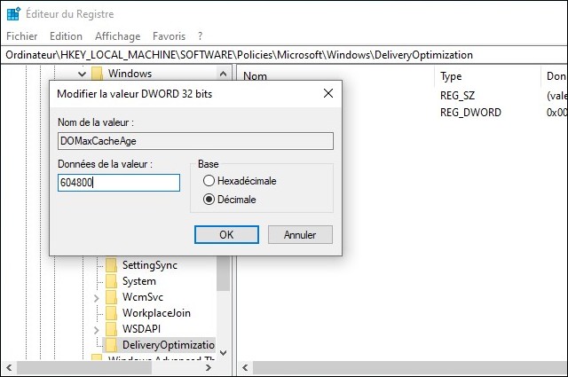 Cache optimisation de la distribution Windows 10