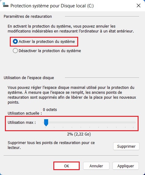 Activer la protection du système