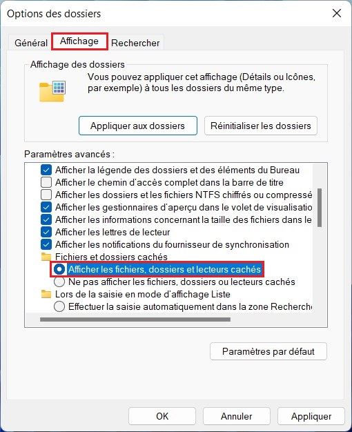 Afficher les fichiers cachés à partir des Options des dossiers