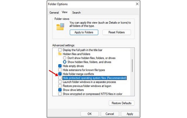 Afficher les fichiers cachés sur Windows 11