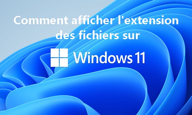 Comment afficher extension des fichiers sur Windows 11
