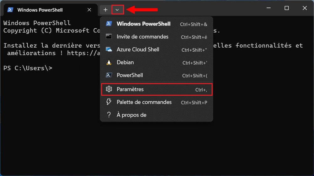 Paramètres Terminal Windows