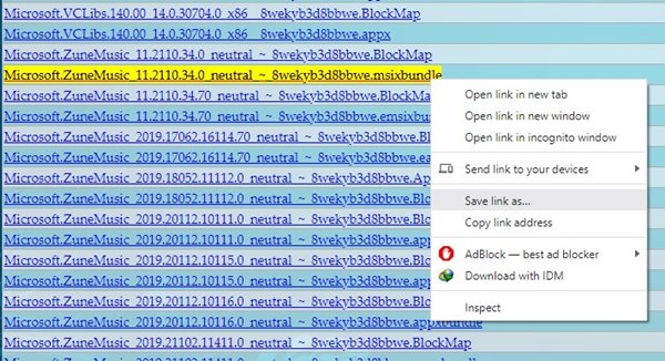 Sélectionnez l'option Enregistrer le lien sous
