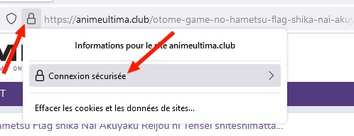 Cliquez sur Connexion sécurisée