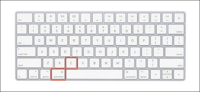 Copy and paste on Mac using keyboard shortcuts