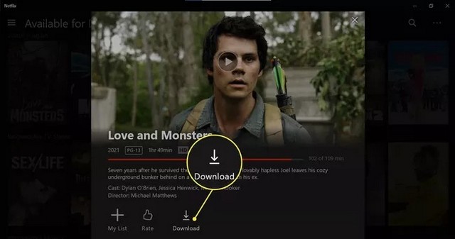 Click on the Download icon