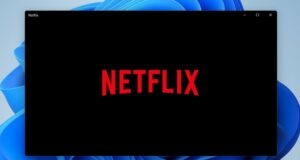 Comment télécharger des films et séries Netflix sur son PC