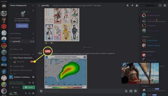 Partager un écran sur Discord à partir d'un canal vocal