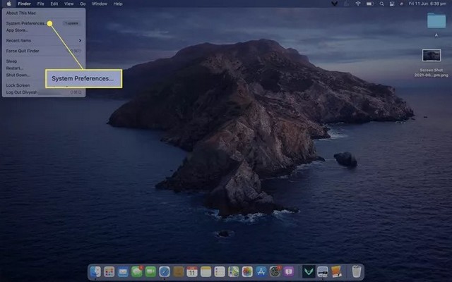 Select System Preferences
