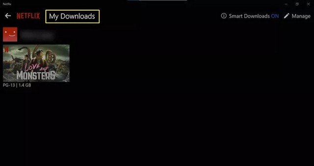 Download Netflix Movies