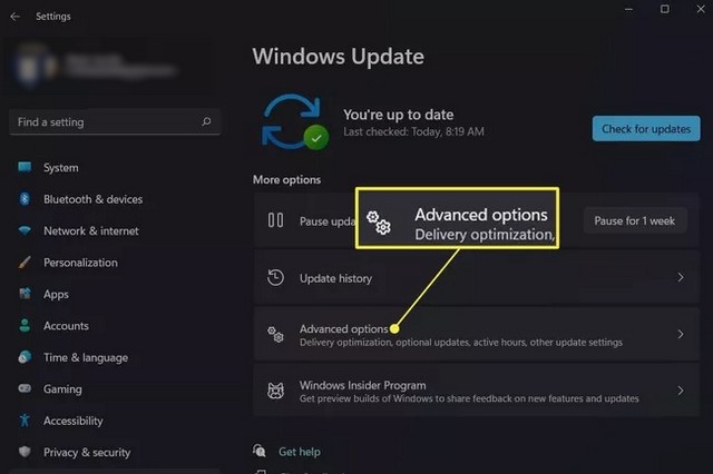 Appuyer sur Options avancées