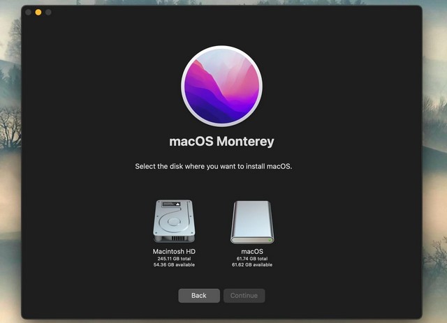 Cliquez sur Afficher tous les disques