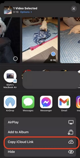 Copier le lien iCloud