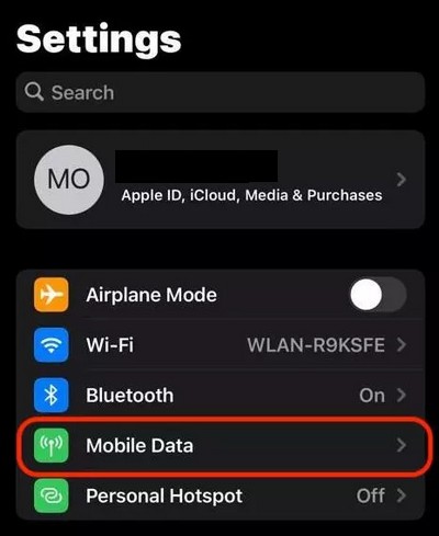 Appuyez sur Données mobiles