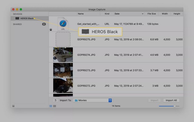 import files from gopro to mac import files from gopro to mac
