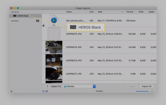 import gopro to mac