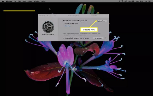 Mise à niveau à partir des versions récentes de macOS