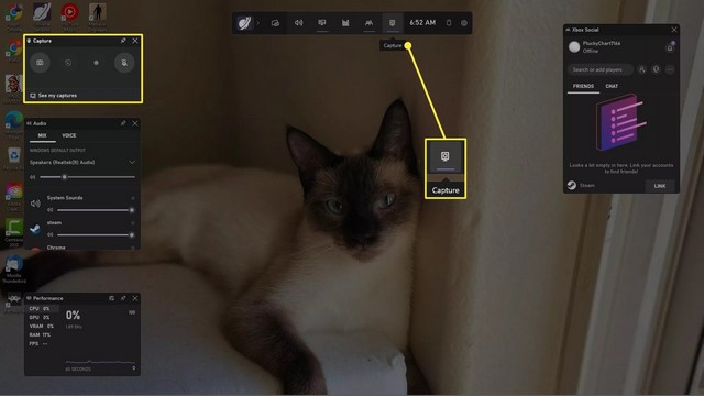 Sélectionner l'icône Capturer