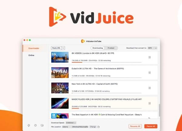 VidJuice - meilleur téléchargeur de vidéos