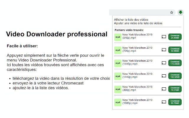 Video Downloader Professional - extensions Chrome pour télécharger des vidéos