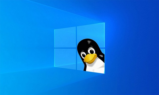 How to switch from Windows to Linux on the same machine