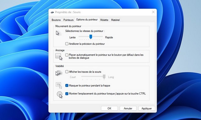 Localiser rapidement le pointeur de la souris sur Windows 11