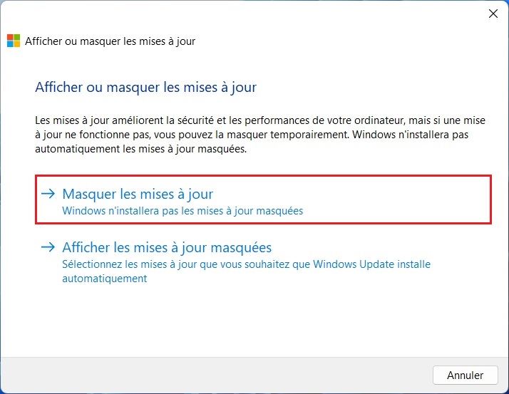 Afficher ou masquer les mises à jour