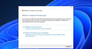 Afficher ou masquer les mises à jour sur Windows 11