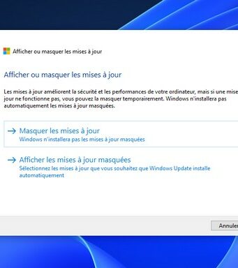 Afficher ou masquer les mises à jour sur Windows 11