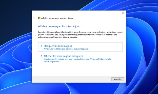 Afficher ou masquer les mises à jour sur Windows 11