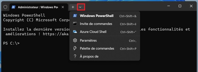 Basculer vers l'invite de commande ou PowerShell dans le terminal