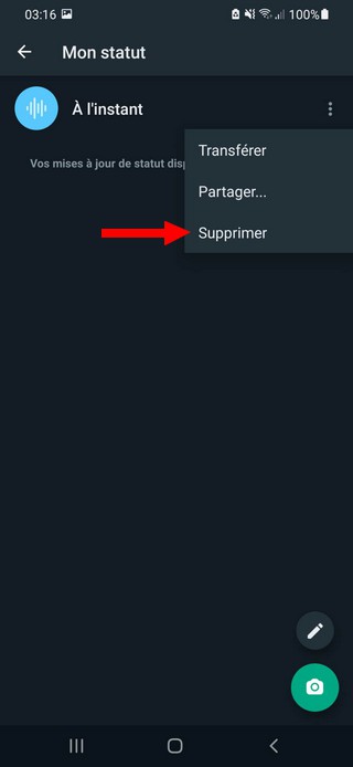 Comment supprimer le statut vocal Whatsapp