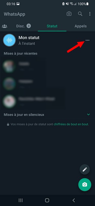 Supprimer le statut vocal Whatsapp