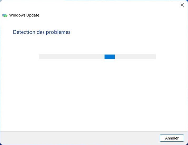 Résoudre l'erreur 0x8007000d Windows Update