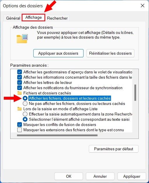 Afficher les fichiers, dossiers et lecteurs cachés