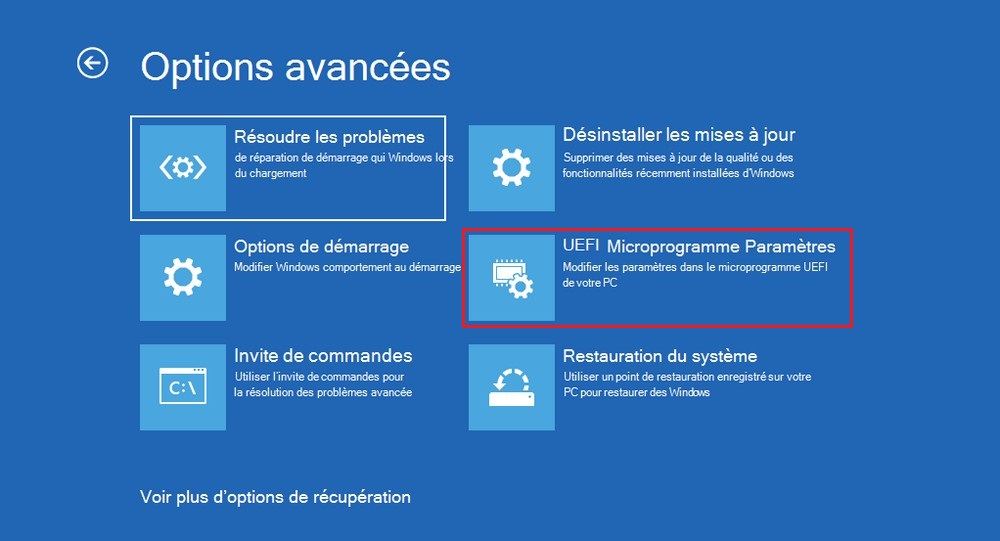 Options avancées Windows 11